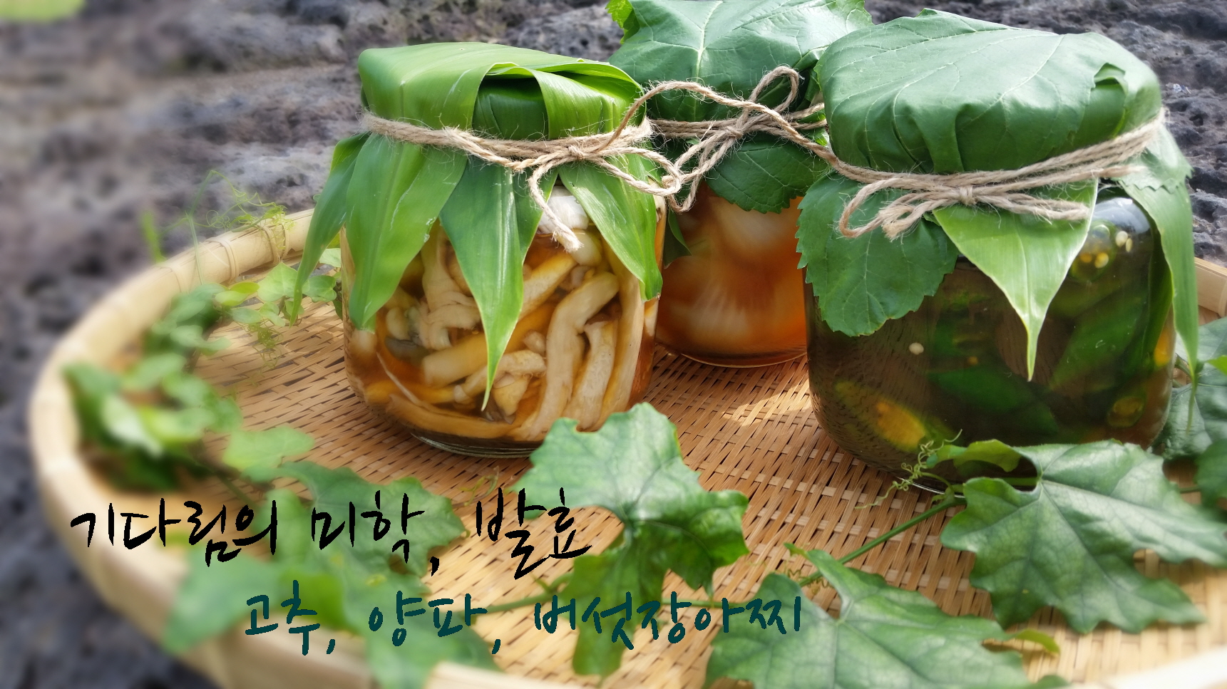 기다림의 미학, 발효(4회차)